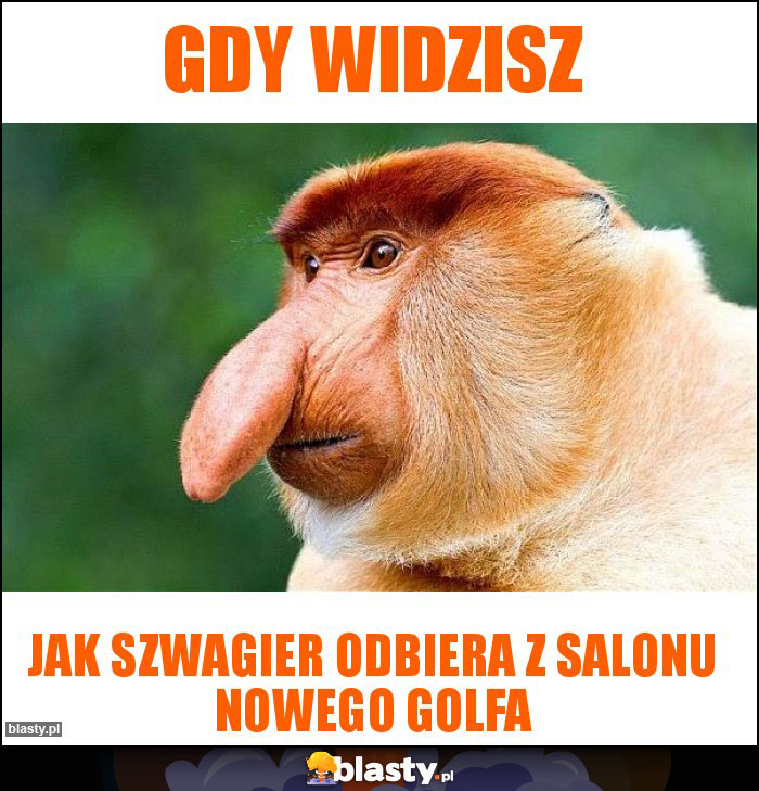 Gdy widzisz