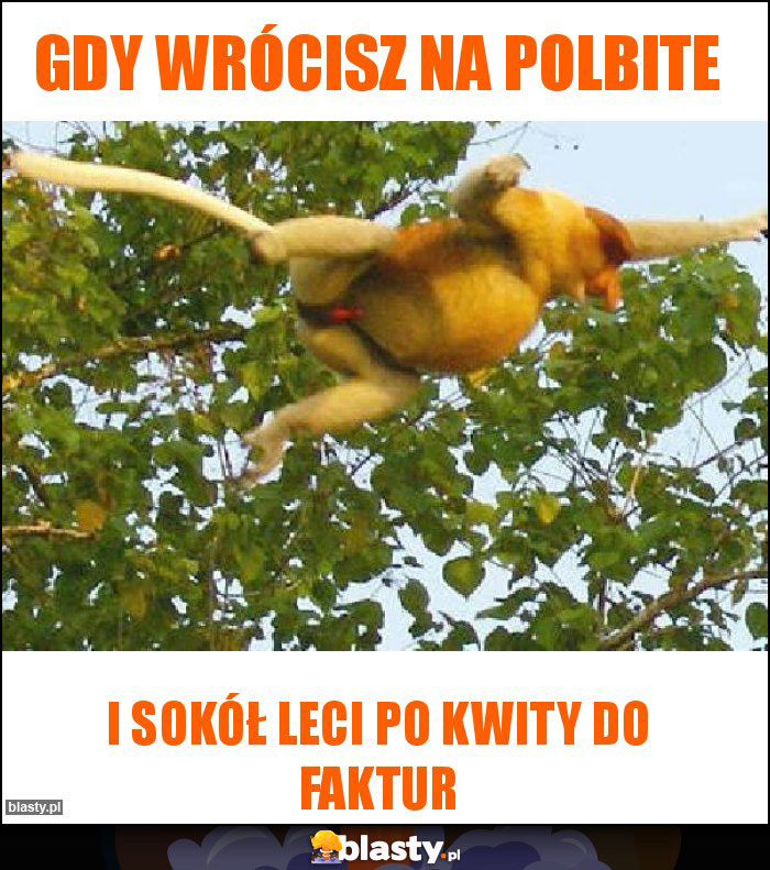 Gdy wrócisz na polbite