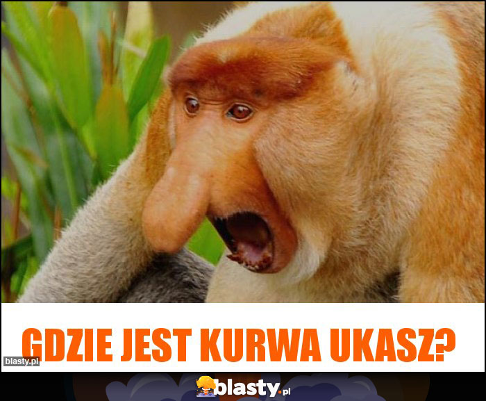 Gdzie jest kurwa Ukasz?