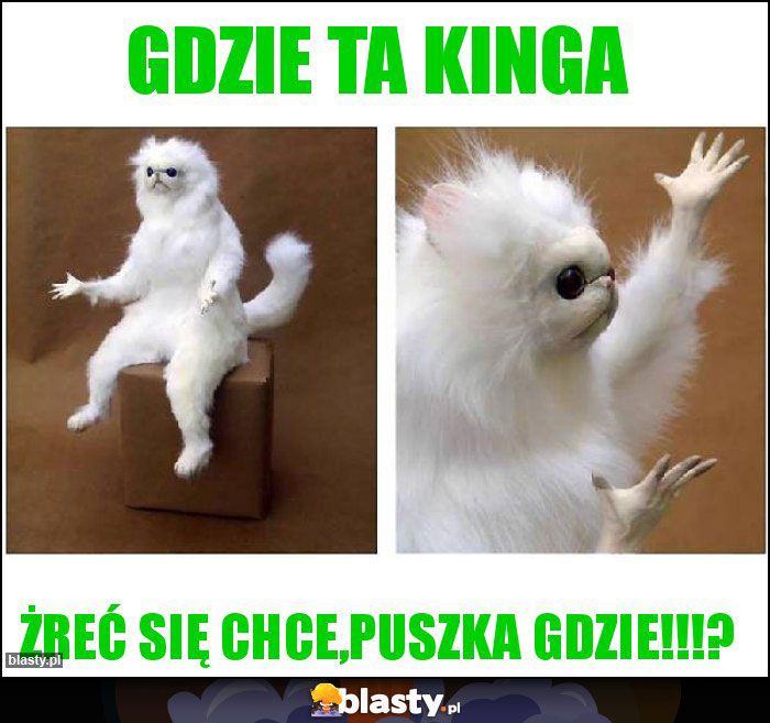 Gdzie ta kinga