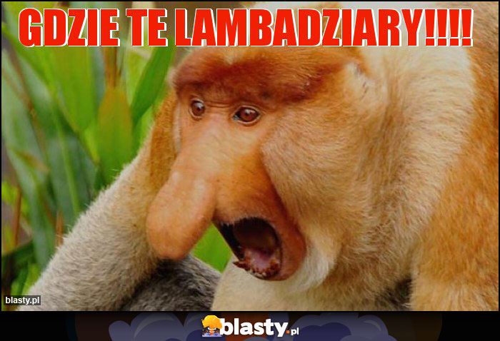 Gdzie te lambadziary!!!!