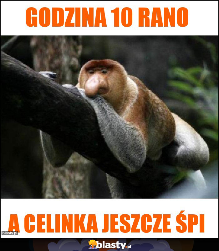 godzina 10 rano