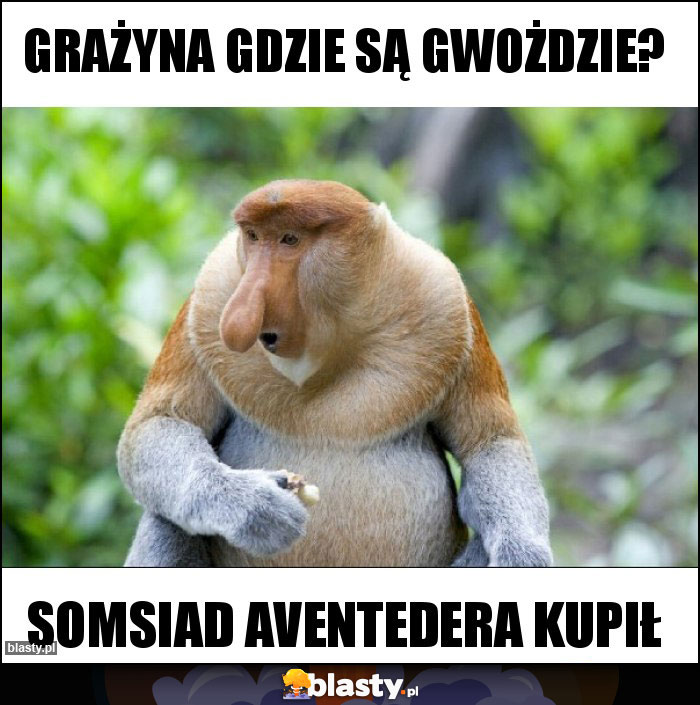 Grażyna gdzie są gwożdzie?