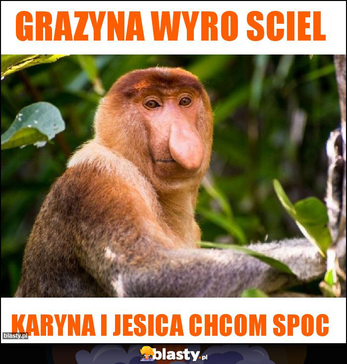 Grazyna wyro sciel