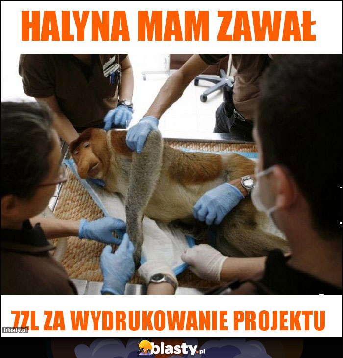 HALYNA MAM ZAWAŁ