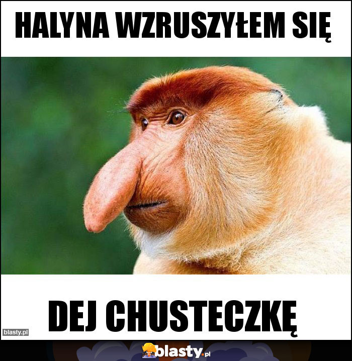 Halyna wzruszyłem się