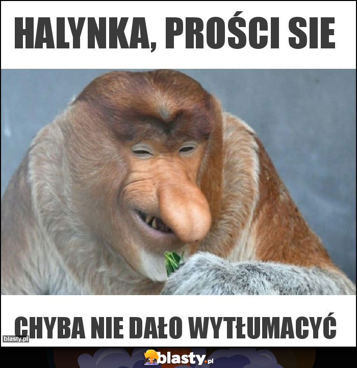 Halynka, prości sie