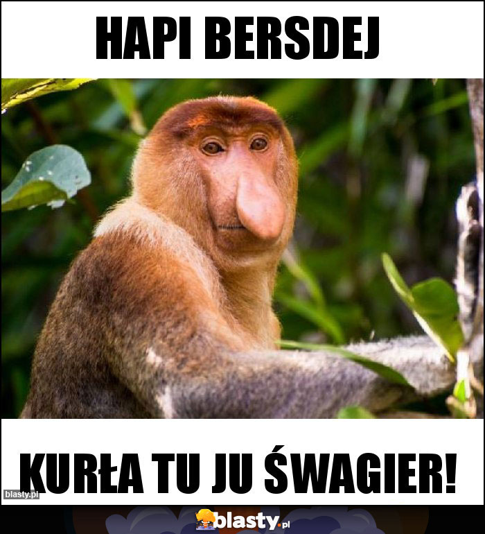 Hapi bersdej