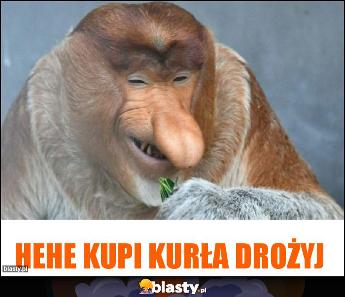 HeHe kupi kurła drożyj