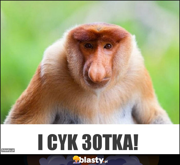 I cyk 30tka!