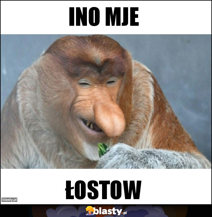 INO MJE