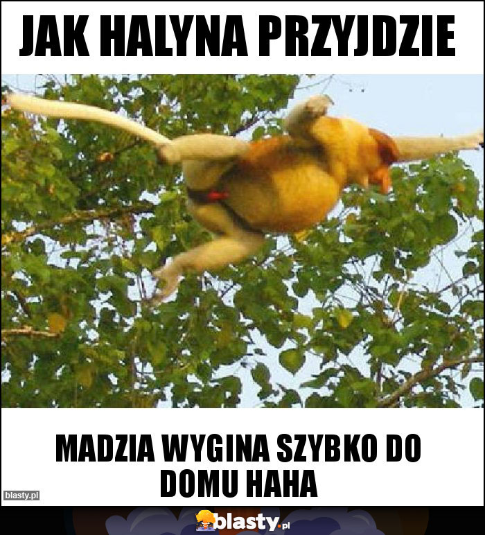 Jak halyna przyjdzie