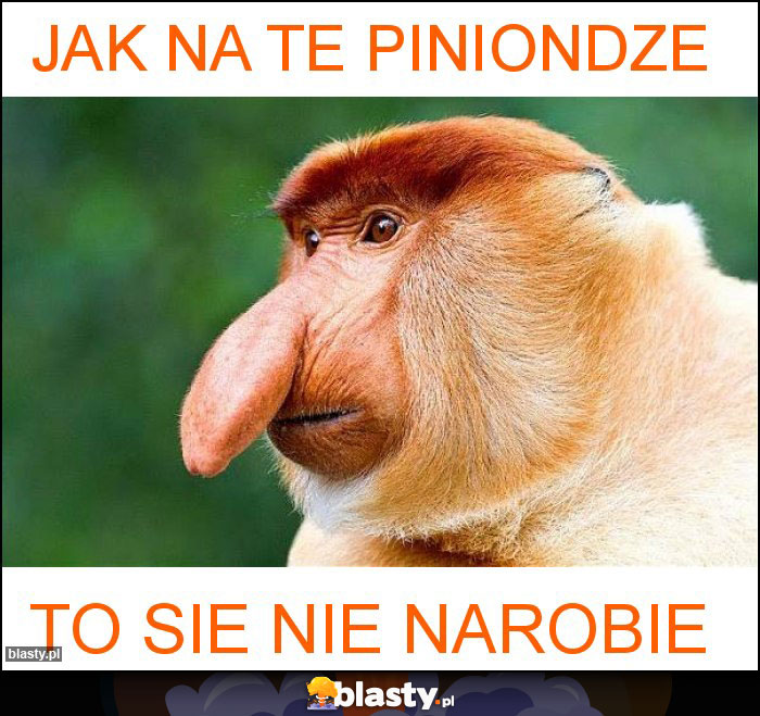 jak na te piniondze