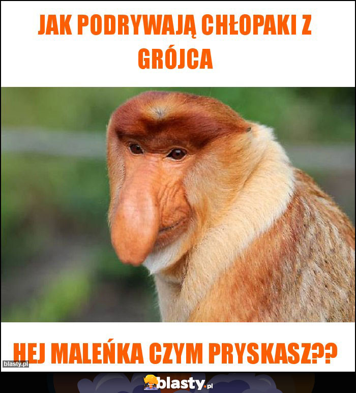 JAK PODRYWAJĄ CHŁOPAKI Z Grójca