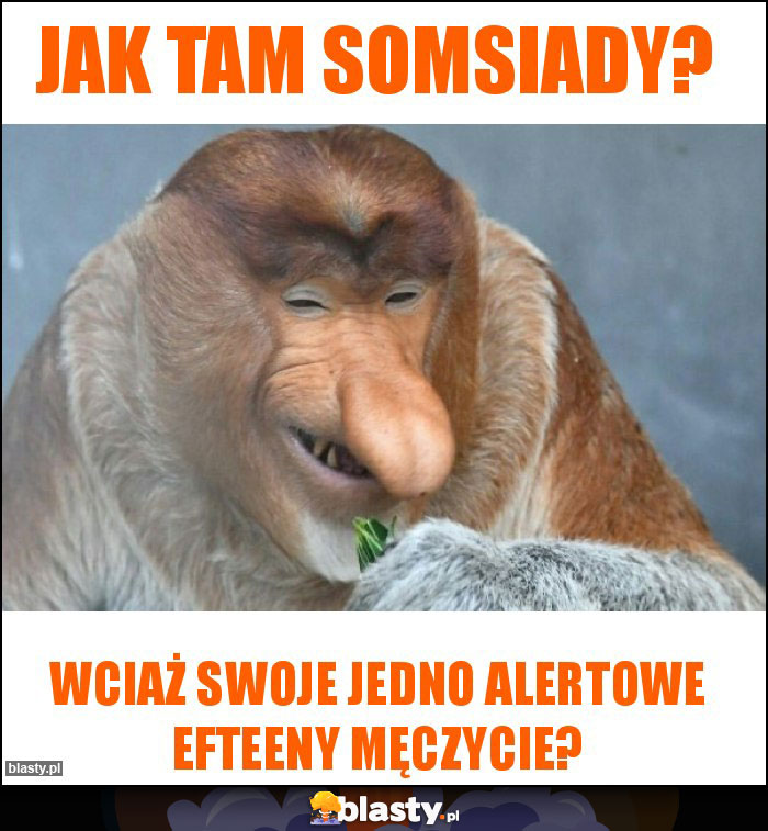 Jak tam Somsiady?