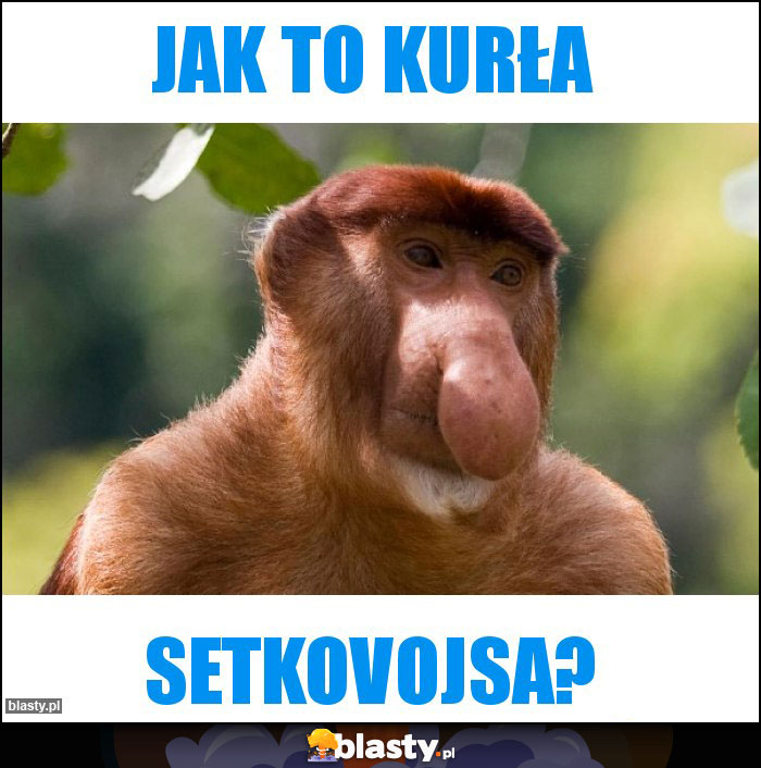 Jak to kurła