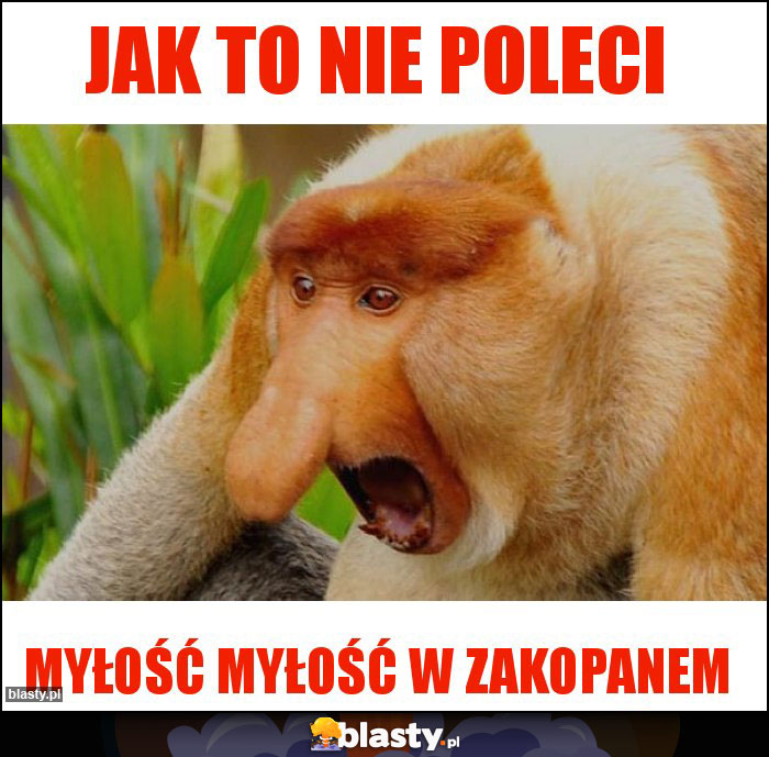 Jak to nie poleci