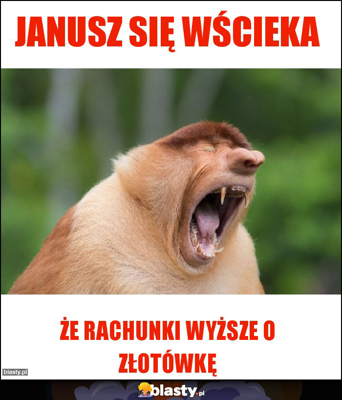 Janusz się wścieka