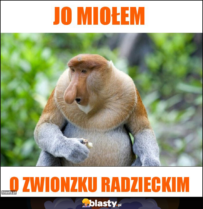 JO MIOŁEM