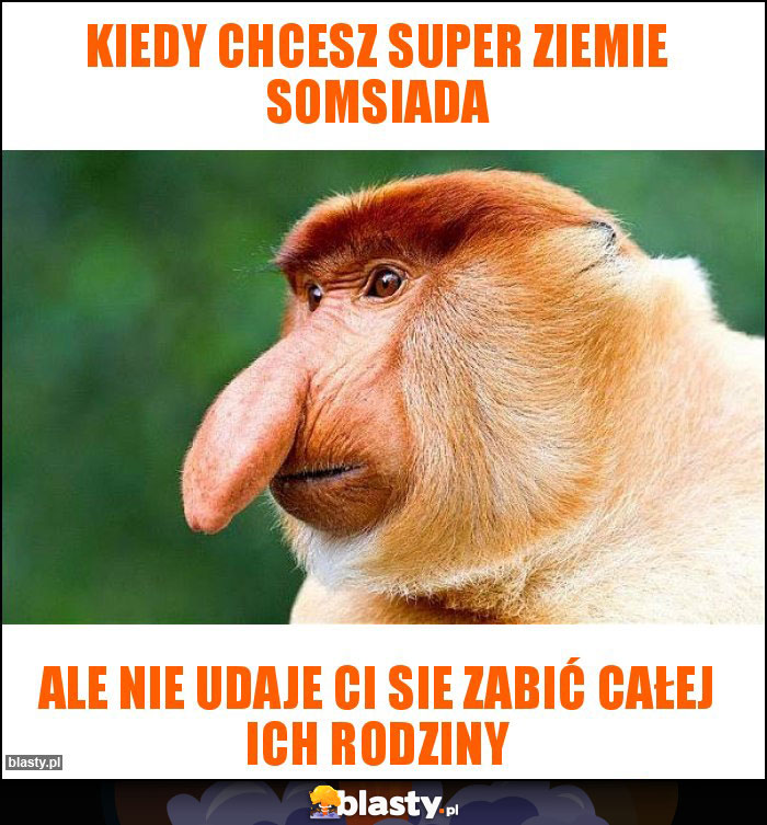 kiedy chcesz super ziemie somsiada