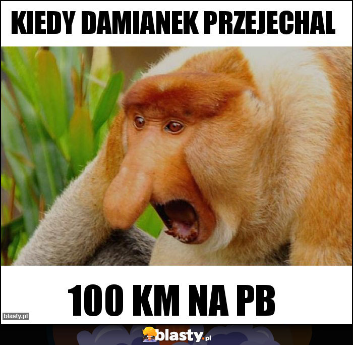 Kiedy damianek przejechal