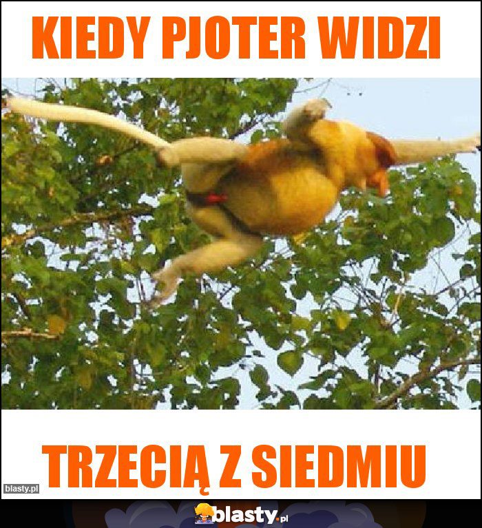 Kiedy pjoter widzi