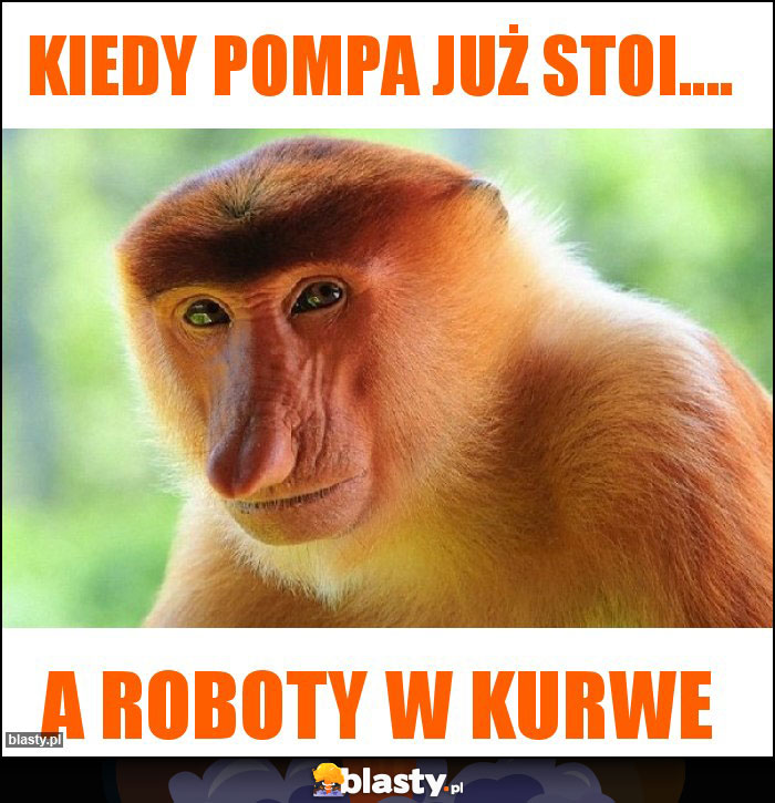 Kiedy pompa już stoi....