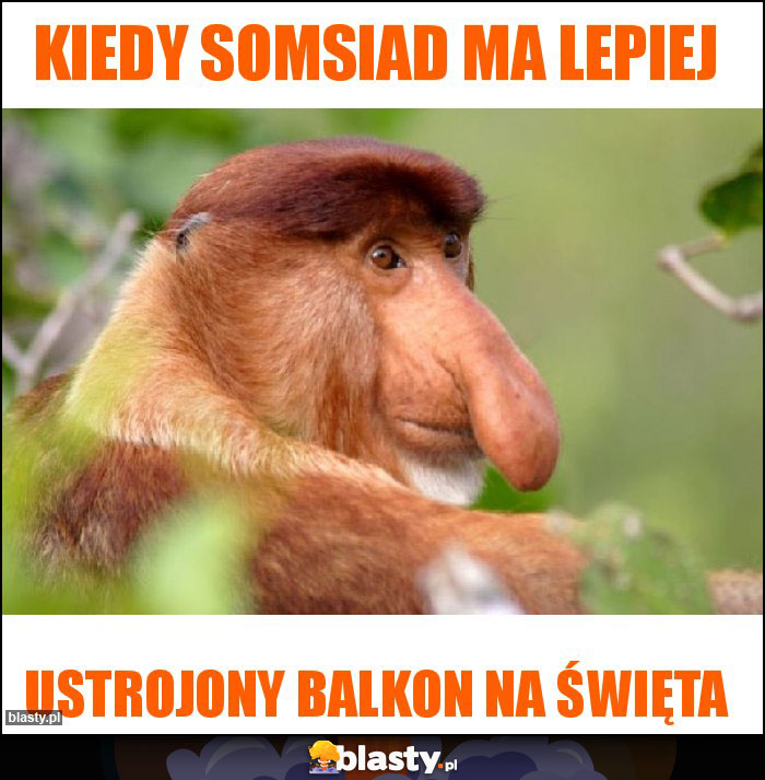 Kiedy somsiad ma lepiej