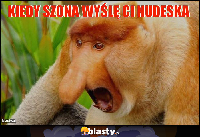 Kiedy szona wyślę Ci nudeska