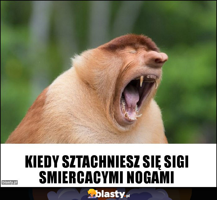 Kiedy sztachniesz się sigi smiercacymi nogami