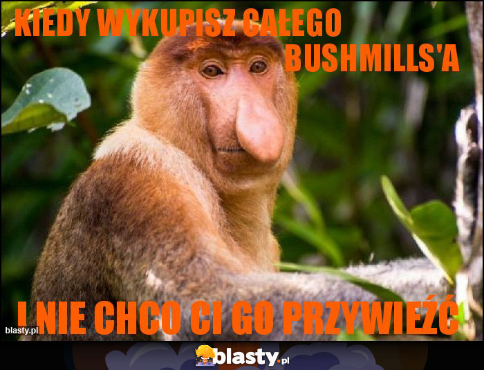 Kiedy wykupisz całego                                                                  bushmills'a