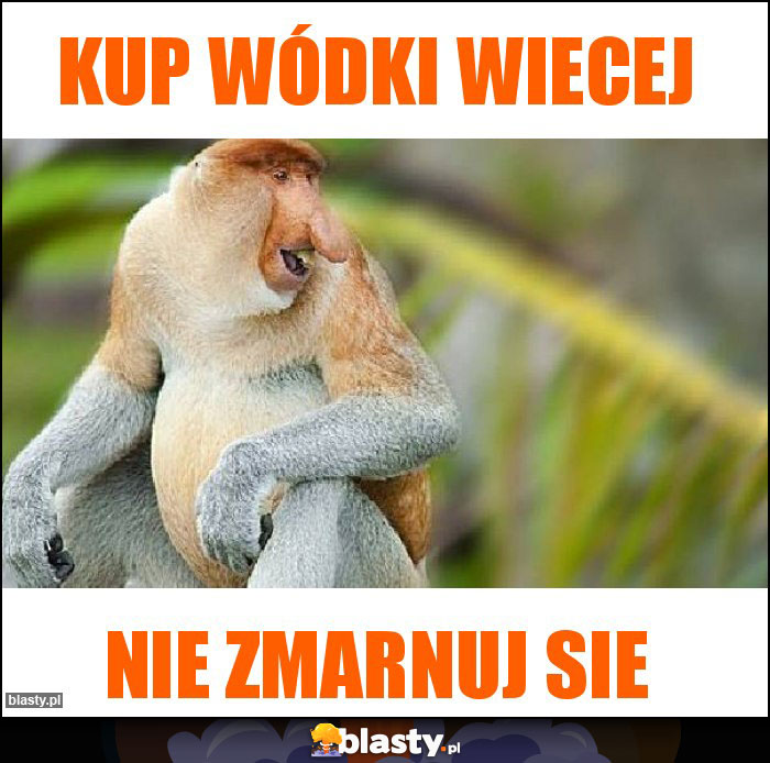 Kup wódki wiecej