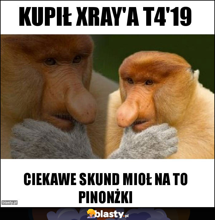 Kupił Xray'a T4'19