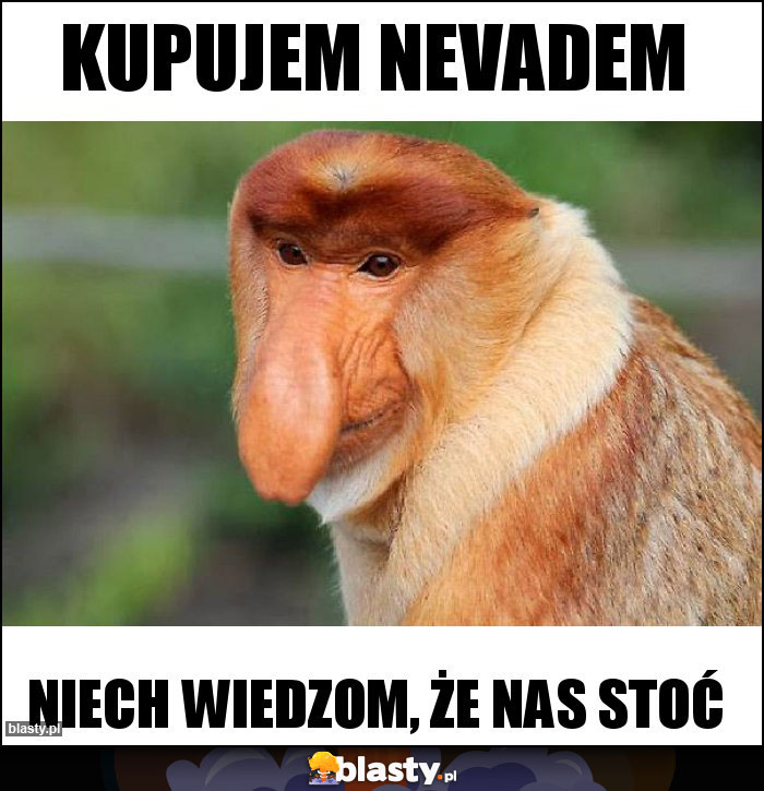 Kupujem Nevadem