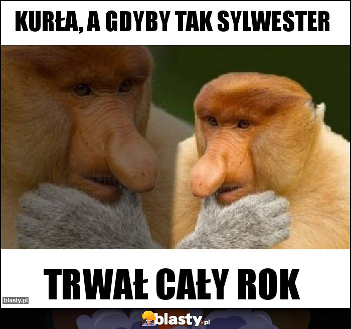 KURŁA, A GDYBY TAK SYLWESTER