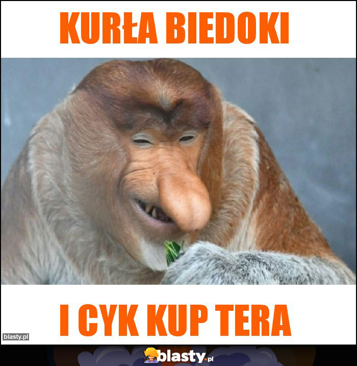 Kurła biedoki