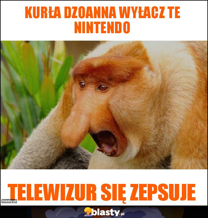 Kurła Dzoanna wyłacz te nintendo