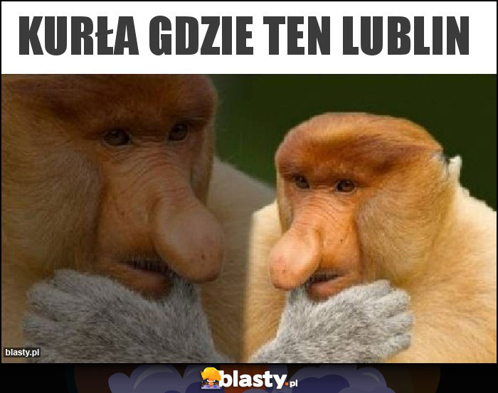 Kurła gdzie ten Lublin