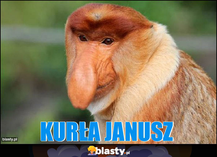 Kurła Janusz