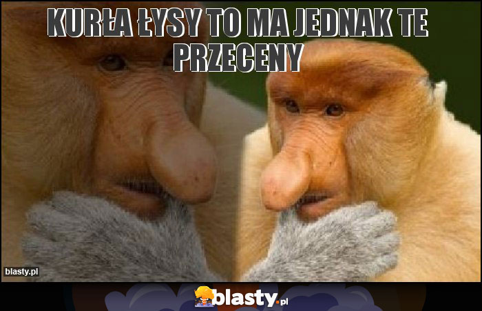 Kurła łysy to ma jednak te przeceny