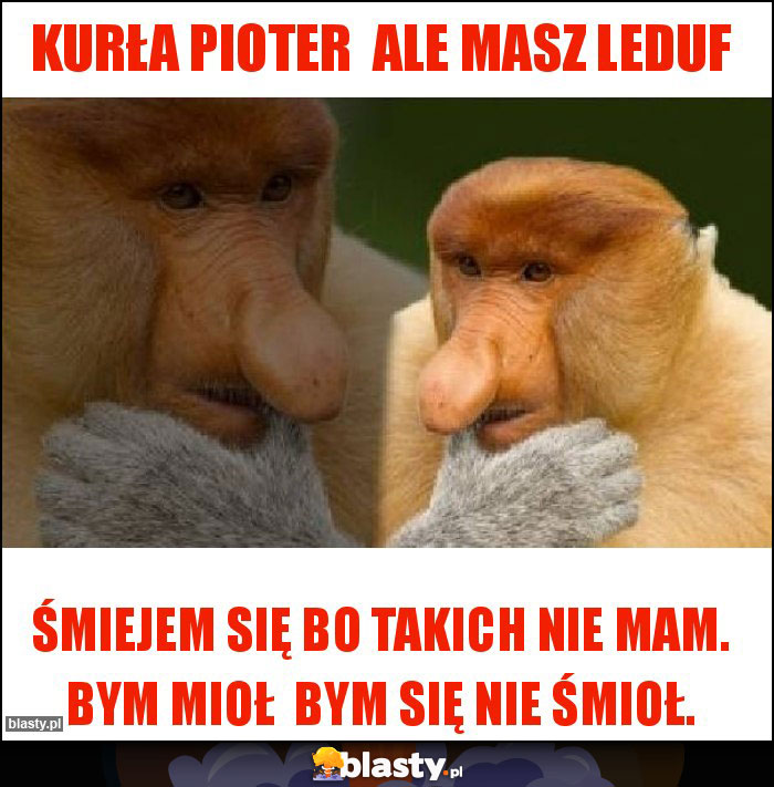 Kurła Pioter  ale masz leduf