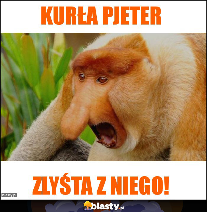 Kurła pjeter