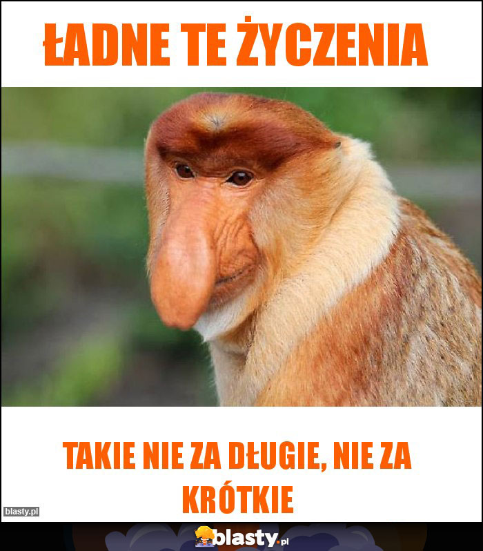 Ładne te życzenia