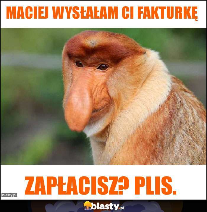 MACIEJ WYSŁAŁAM CI FAKTURKĘ