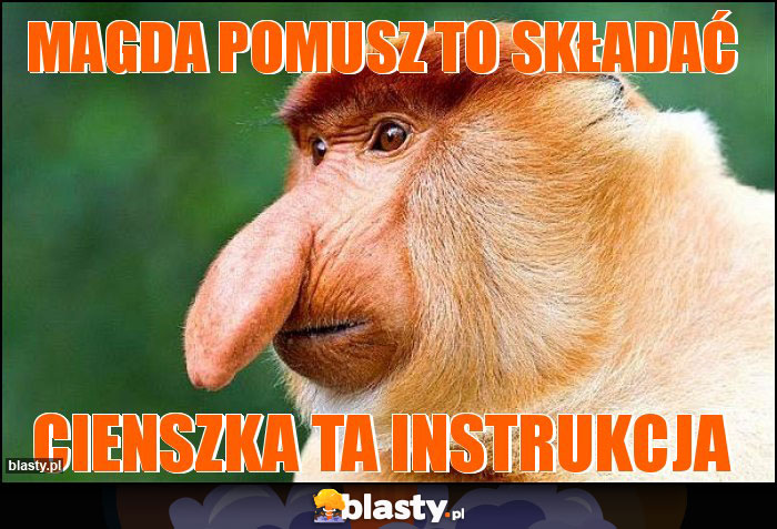 MAGDA POMUSZ TO SKŁADAĆ