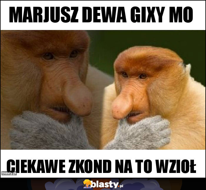 Marjusz dewa gixy mo