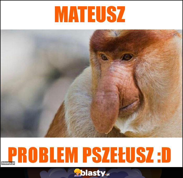 Mateusz