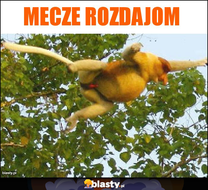 Mecze rozdajom