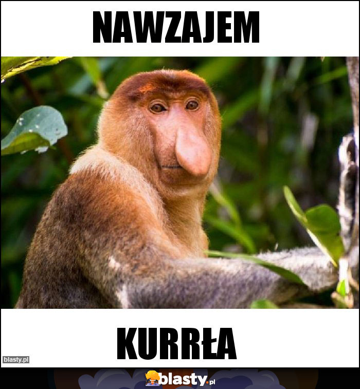 Nawzajem