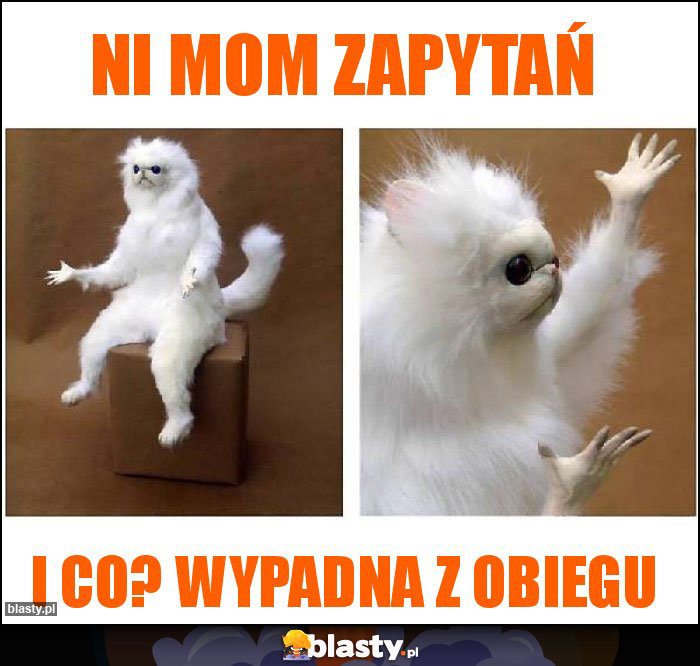 NI MOM ZAPYTAŃ